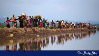 The Rohingya must not become pawns in regional politics