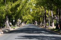 Deerfield-backed Boulevard Bio embarks on ‘beautiful path to a cure’ with trio of immunology drugs