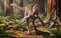 New Bird-Like Dinosaur Identified From Northwest New Mexico Fossil