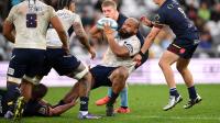 Scarlets sign 19st New Zealander as boss insists overseas signings help Welsh talent