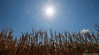 Europe braces for next heat wave
