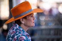 Strategy of the pro-Australia parties to the next election