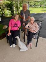 Olive Hill selects goose as official town mascot following community-wide effort