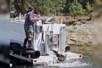 How First Nations are bringing Chinook salmon back to the Arrow Lakes