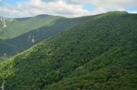 Romania exceeded PNRR target for afforestation, reforestation, and new urban forests