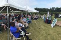 Muscadine field day set for Aug. 27, workshop on hydroponic farming Oct. 13