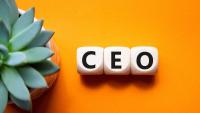 Doris Meister named CEO of Fiduciary Trust Company 