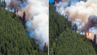 Oregon video captures wildfires scorching Mount Hood National Forest