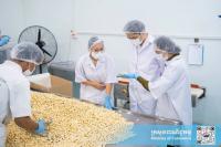Cambodia’s Processed Cashew Nuts to Enter UK Market