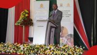 Central Bank of Kenya holds base loan rates amid Middle East conflict risks