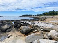 Maine closes 3 Reid State Park beaches for swimming after shark sightings near shore