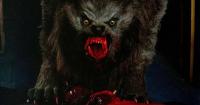 John Landis’ horror-comedy classic, An American Werewolf in London, gets a 45th anniversary 4K Blu-ray in time for spooky season