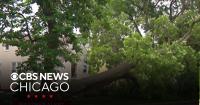 Massive power outages reported across Illinois, Indiana