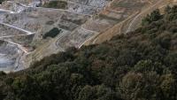 Turkey approves İstanbul mine expansion affecting 24,536 trees