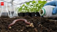 Scientists in Austria found that a glyphosate-based herbicide reduced earthworm reproduction by 56% in a greenhouse study