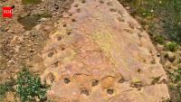 Colorado’s 150-million-year-old dinosaur footprints show how a giant sauropod walked in a full loop