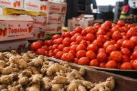 Ghana spends $168m on tomato imports; ginger dependence exceeds 99% — CSIR