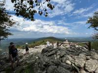 Events roundup: Celebrate wildlife, music and more as summer continues