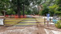 Grove Park closure leaves Rehoboth vendors scrambling to sell, tree health to blame