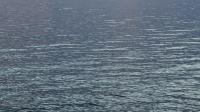 Maryland reaches key Chesapeake Bay pollution reduction goals