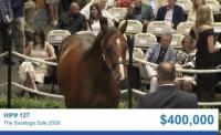 Maryland consignor scores again in record-setting Fasig-Tipton Saratoga sale