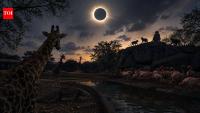 In 2017, a total solar eclipse changed animal behaviour as scientists watched 17 species react to sudden darkness
