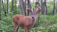 Bill requires warrants for Pennsylvania game wardens on private land