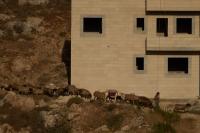 In Qusra and beyond, settlers are chasing Palestinians out and taking over their homes