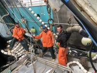Late pink salmon arrival offers hope for Southeast Alaska fleet