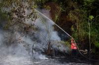 Indonesia Battles Massive Wildfires As Smoke Engulfs Neighbouring Countries