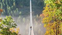 Germany’s best viewpoints from above: Scenic walks, mountain peaks and sky-high bridges