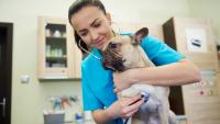 A-State opens first veterinary school in Arkansas