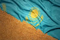 Regional review: Kazakhstan ramps up oilseed production