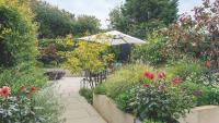 Gardeners urged to avoid weeding their gardens this week for this important reason – leave your flower beds and lawns alone