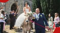 Farmer bride shows up at wedding riding favourite cow: "I trained her"