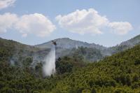 Greece arrests more than 280 for starting fires