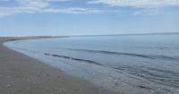 Coastal Virginia communities push back against proposed offshore seabed mining
