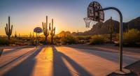 Arizona Sports Betting: Best AZ Sportsbooks and Betting Apps for 2026