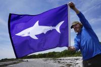 Maine town closes its beaches to swimmers after another shark sighting