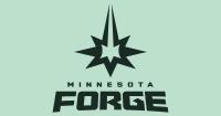 Minnesota Forge: New women's professional volleyball team picks its name