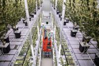 European acqusition powers cannabis company Organigram to record revenues
