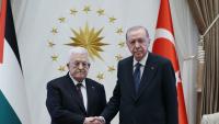 Israel attempting to erase Palestine from world's agenda: Erdoğan