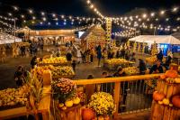 Europe’s largest pumpkin festival to return to West Sussex with new attraction for 2026