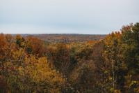 Brown County Needs Your Votes for America’s Top Fall Destination