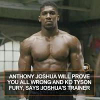 Anthony Joshua’s trainer Lapin predicts fury knockout as battle of Britain edges closer