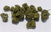 Customs seize 450g of cannabis at VIA