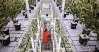 European acqusition powers cannabis company Organigram to record revenues