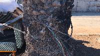 Verizon offers $25,000 reward following fiber optic cable vandalism in Los Angeles