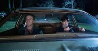 Movie Review: 'The End of Oak Street' is a gonzo good time