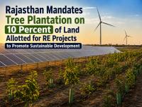 Rajasthan Mandates Tree Plantation in Renewable Energy Projects